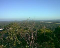 Vilangankunnu hill with lush greenery