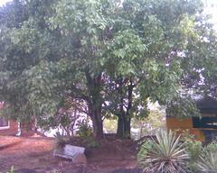 Scenic view of Vilangan Hills on a clear day