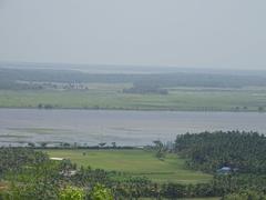 Puranattukara paddy field viewed from Vilangan Hills