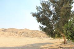 Wadi Degla nature reserve