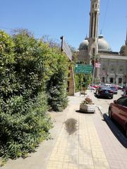 Wailay Greenhouse in Abbasyia