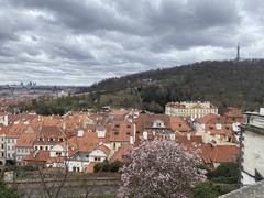 View of Prague from Prague Castle