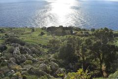 Dingli Cliffs with a view of the Mediterranean Sea