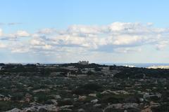 Dingli Cliffs in Malta