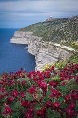 Dingli cliffs from a different perspective