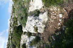 Dingli cliffs cart ruts