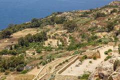 Cascading Fields at Dingli Cliffs