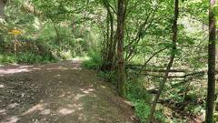 Basabe creek in the Basque Country