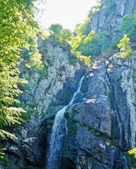 Boyana waterfall cascading down rugged rocks surrounded by lush greenery