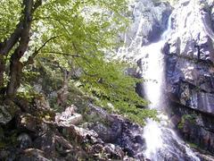 Boyana waterfall