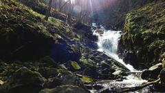 Boyanska River near Boyana Waterfall