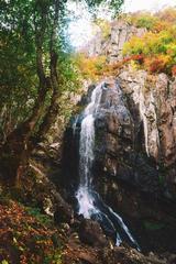 Boyana waterfall during autumn