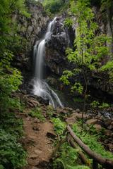 Peaceful scenery near Boyana Waterfall, Bulgaria