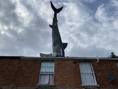 Headington Shark sculpture in Oxford