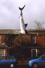 Headington Shark sculpture in Oxford, England