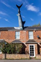 Headington Shark sculpture on a rooftop in Oxfordshire