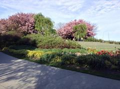 Toronto Music Garden with lush greenery and waterfront view