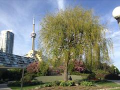 Skyline of Toronto with CN Tower and waterfront