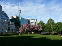 Toronto Music Garden in summer with lush greenery