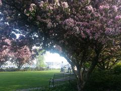 Toronto Music Garden in summer