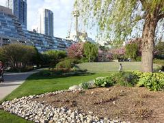 Toronto Music Garden with lush greenery and cityscape