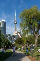 The Music Garden in Toronto on a sunny day