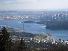 Lion's Gate Bridge from Cypress viewpoint