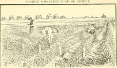 Bulletin de la Société d'horticulture de Genève 1868 cover