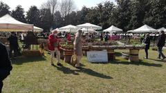 Antique market in front of Villa Contarini