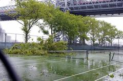 Felled tree branch on East River Park tennis courts after Hurricane Irene