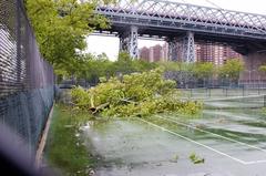 Felled tree branch on East River Park tennis courts after Hurricane Irene