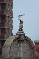 Owl and Seagull on Urban Roof at Florence Nightingale School, NYC