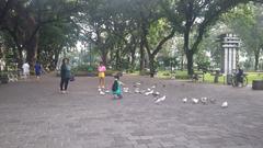 Person feeding pigeons at Taman Suropati