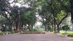 Taman Suropati in Menteng, Jakarta with lush greenery and walking paths