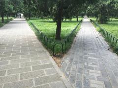 Eastern parts of the Temple of Heaven Park, Beijing