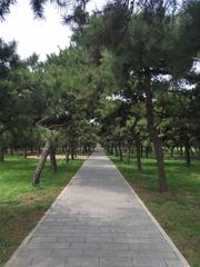 Eastern parts of the Temple of Heaven Park, Beijing