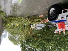 MTA crews removing fallen tree from RFK Bridge ramp after Tropical Storm Isaias