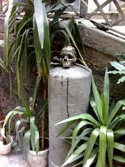 one of the skulls outside the Church of Purgatory at Arco, Naples