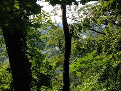 View from Susedgrad ruins towards Sava river