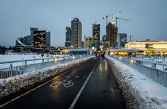 Vilnius White Bridge in December