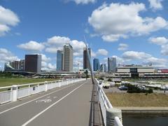 pedestrian bridge Baltasis tiltas in Vilnius