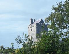 Dunguaire Castle