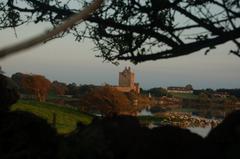 Dunguaire Castle hidden view