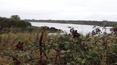 Dunguaire Castle by the bay