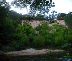 Scenic view of Vileika River banks with lush green trees in Belmontas, Lithuania