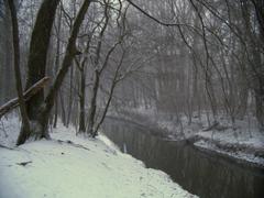 Angel River in Tiergarten Münster in January 2005