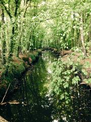 River in Tierpark Wolbeck