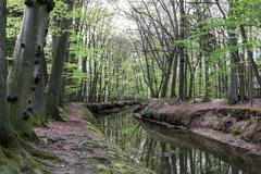 scenic view of Wolbecker Tiergarten in Münster with lush green trees and a person angling