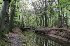 Wolbecker Tiergarten protected area in Münster, Germany