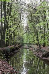 protected area in Wolbecker Tiergarten, Münster